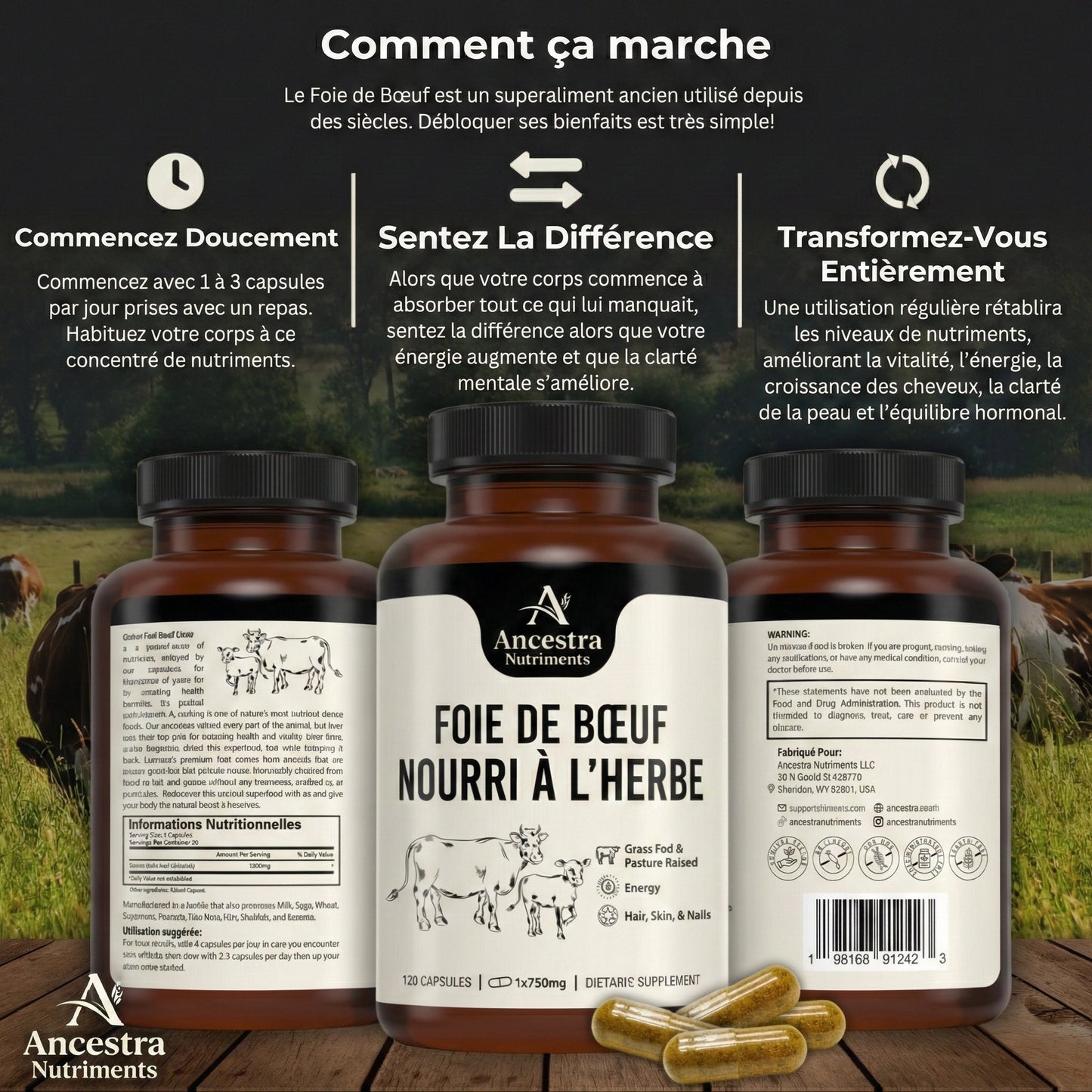 Gélules de foie de bœuf nourri à l’herbe