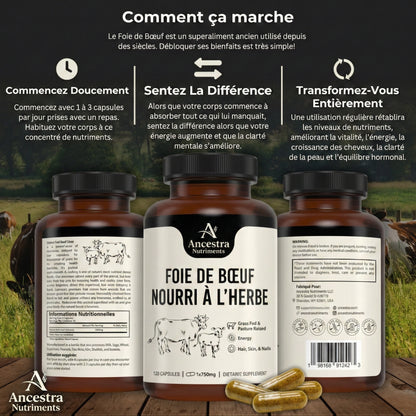 Gélules de foie de bœuf nourri à l’herbe