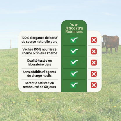 Gélules de foie de bœuf nourri à l’herbe