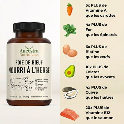 Gélules de foie de bœuf nourri à l’herbe